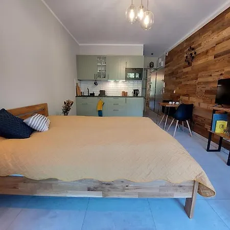 Mountain Forset View Szklarska Poręba