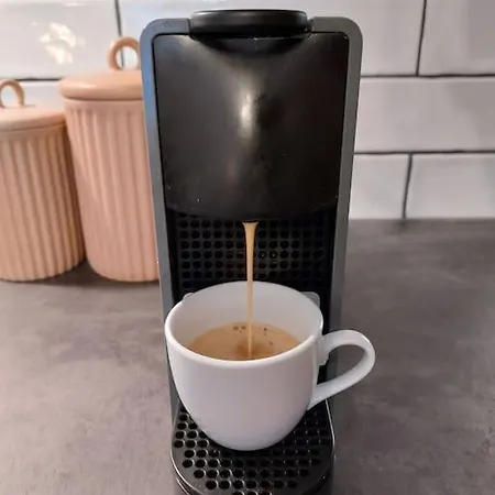 Mountain Forset View *