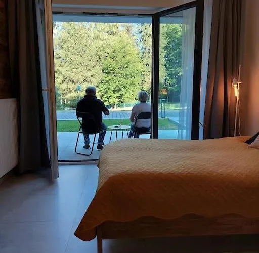 Mountain Forset View *