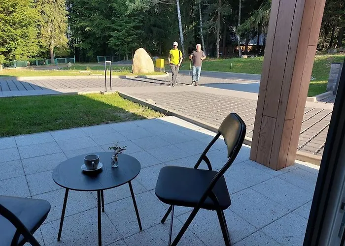 Mountain Forset View