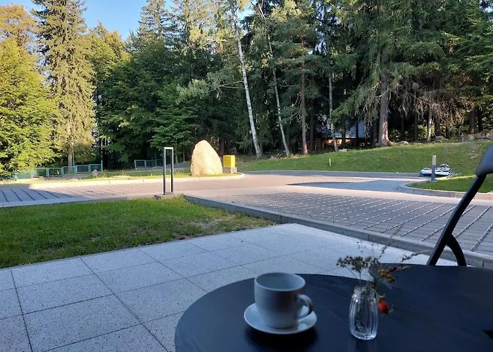 Mountain Forset View 아파트 스클라르스카포렘바